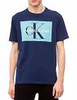 Calvin Klein Herren-T-Shirt, blau