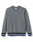 Pull Lacoste homme, gris