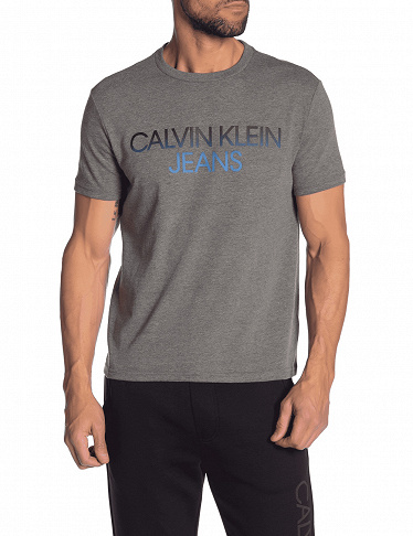 Herren T-Shirt von Calvin Klein, grau
