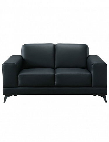 Leder-Sofa 2-Sitzer «Tiena», B 153 cm, schwarz