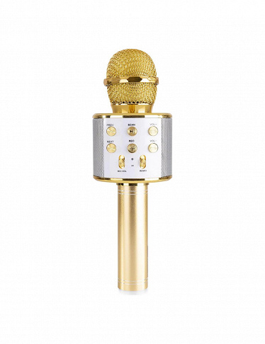 Karaoke-Mikro mit Lautsprecher, Bluetooth