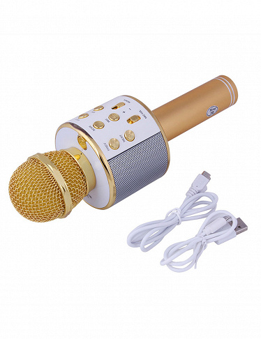 HISRFO Microphone karaoké Bluetooth pour enfants adultes : Micro