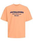 JACK&JONES T-Shirt «Gale», orange