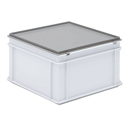 Hinged lid with snap locks