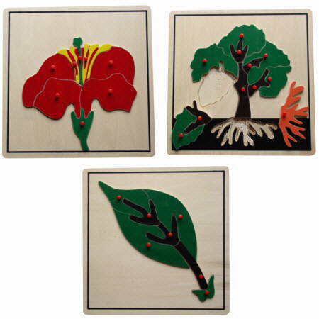 3 Montessori Pflanzen-Puzzle Biologisches Material um ...