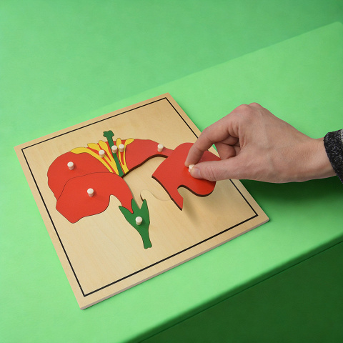 Holzpuzzle mit Pflanzen nach Maria Montessori