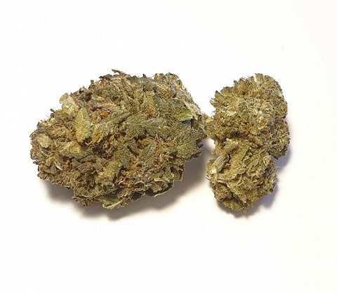CBD-Blüten Typ “Strawberry" mit ca. 3,7% CBD-Gehalt und <0,2% THC-Gehalt