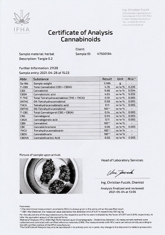 CBD-Blüten Typ “Tangie" mit ca. 4,7% CBD-Gehalt und <0,2% THC-Gehalt