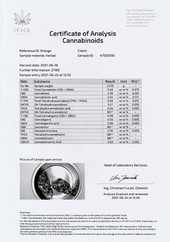 CBD-Blüten Typ “Orange Bud" mit ca. 5,5% CBD-Gehalt und <0,2% THC-Gehalt