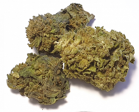 CBD-Blüten Typ “Cannatonic" mit ca. 4,8% CBD-Gehalt und <0,2% THC-Gehalt